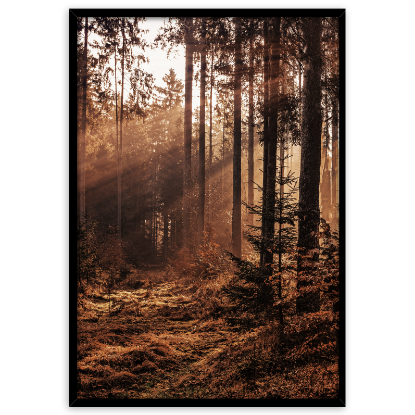 Picture of STYLER FRAMEPIC 50X70 FOREST